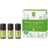 PRIMAVERA Dišeč set "Hausapotheke" Cene