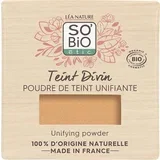 Teint Divin izravnalni puder - 25 Beige doré
