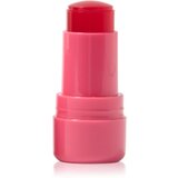 Technic_Cosmetics Jelly Tint rumenilo u olovci za usne i lice nijansa Red Hot 9 g Cijene