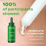 Weleda Skin Food Face Care Ritual darilni set za prehrano in hidracijo | Shoptok.si
