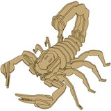  Wooden 3D Scorpion Puzzle Educational Assemblage 35 Pieces | shoptok.hr