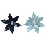 ukrasni cvjetovi (tamnoplava, božićna zvijezda)  ukrasni cvjetovi (tamnoplava, božićna zvijezda) Slike