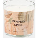 Sinsay Svijeća Pumpkin Spice | shoptok.hr