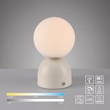 SCHÖNER WOHNEN 19218-39 - LED stona lampa RUDI, prigušiva, LED/1,2W/5V, siva | Eponuda.com