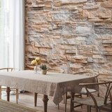  Foto tapeta - Stone Virtuosity 350x256 Vodootporna | shoptok.hr