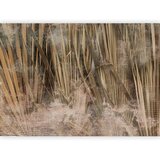  Foto tapeta - Dry leaves - landscape of tall grasses in boho style with paint patterns 250x175 Standard | shoptok.hr