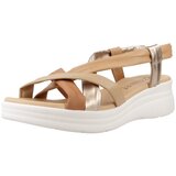 Pitillos 10611P Smeđa | shoptok.hr
