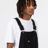 Dickies duck muške pantalone | ePonuda.com