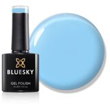  BLUESKY TRAJNI LAK BLUE INSIDER Cijene