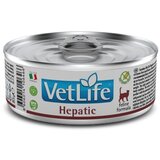  Vetlife cat hepatic 85g Cene