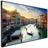 Hikvision DS-D6055FN-B monitor | Eponuda.com