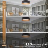 BARGENI 32cm LED stropna svetilka 18 W | Shoptok.si