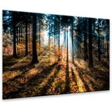 Styler Slika Glasspik Autumn Sunset, 70 x 100 cm | shoptok.hr