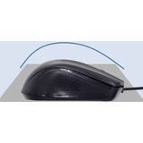 Ewent miška Optical, 1000dpi, črna, USB | Shoptok.si