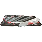 OCAI silver Lisse pro case Cene