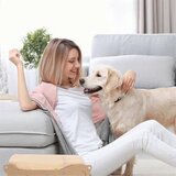 INORCO 24 Papirnate vrečke Vrečke za smeti Sesalnik 6.904-322.0 Papirnate filtrirne vrečke Vrečke za sesalnik za WD2, (22022598) | Shoptok.si