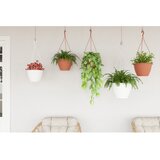 Artevasi Plastičen cvetlični lonec ø 31 cm Algarve – | Shoptok.si