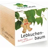 ecocube "Cercidiphyllum japonicum"