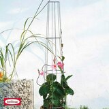  Opora za rastline Bellissa (višina: 130 cm, premer: 28 cm) Cene