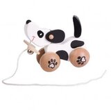 Classic World  | shoptok.hr