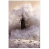  Plakat - Storm 40x60 Bez okvira | shoptok.hr