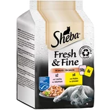 Sheba Multi pakiranje Fresh & Fine 6 x 50 g - Losos i piletina u umaku