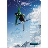STREET Zvezek A4 Special, mali karo, 42 listov, sortirano, 1 kos | Shoptok.si