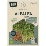  Alfalfa - BIO semena za mikrozelenje/kalčke - 1 pkt. Cene