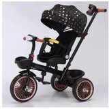 Winner Bike Tricikle BIC.T18 TRIKE BLACK | ePonuda.com