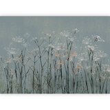  Foto tapeta - Garlic Flowers 490x350 | shoptok.hr