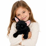 Plišana igračka Bulldog 22 cm - crni | Shoptok.si