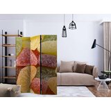  Paravan u 3 dijela - Tasty fruit jellies [Room Dividers] 135x172 | shoptok.hr