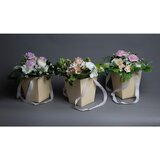 Lilium aranžman u pap.tašni cveće 29cm, mix 3,536555 | ePonuda.com