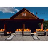 Pappelina Crna unutarnja i vanjska staza 70x150 cm Ella Black – | shoptok.hr