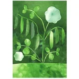 Plakat 50x70 cm Peas in Bloom – Anna Ravn Bjørn –