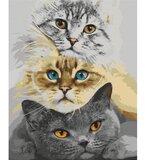  Slika za samostalno slikanje - Cat\'s Trio 40x50 | shoptok.hr