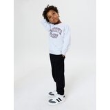 Sinsay Crewneck dukserica s natpisom | shoptok.hr