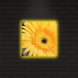 Wallity Slika sa LED osvetljenjem 2828DACT-10, 28x28 cm | ePonuda.com