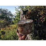 Golden Ring Cheese Butični sir Vipava Valley – | Shoptok.si