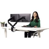 Fellowes nosač monitora eppa essi dual crni Cene