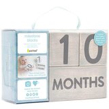 Pearhead lesene kocke 60110 siva | Shoptok.si