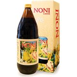 SonnenMacht noni lukas sok 1L