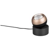 Trio Select Črna/v bronasti barvi LED namizna svetilka (višina 14 cm) Orbit – Cene