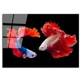 WALLXPERT dekorativna slika od kaljenog stakla fishes (uv 167) 70 x 100 cm | ePonuda.com
