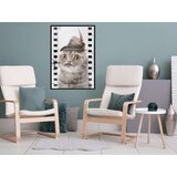  Poster - Dressed Up Cat 20x30 | shoptok.hr