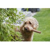MiaCara Igračka za psa Ramo Sandalwood – | shoptok.hr