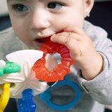 BABY EINSTEIN Ocean Explorers Sea of Sensory Teether Toy grizalo 3 m+ 1 kos | Shoptok.si