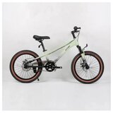 Winner Bike Bicikle BIC.20" QL-GREEN Cene