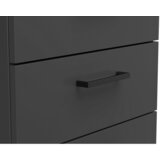 CARRYHOME komoda, barve grafita | Shoptok.si