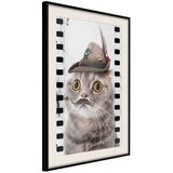  Poster - Dressed Up Cat 40x60 | shoptok.hr